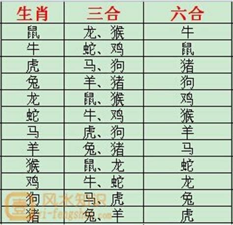 兔虎三合|《易经》十二生肖三合、六合解析！